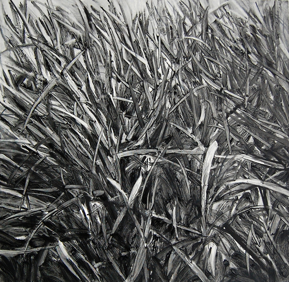 Grass_2011
