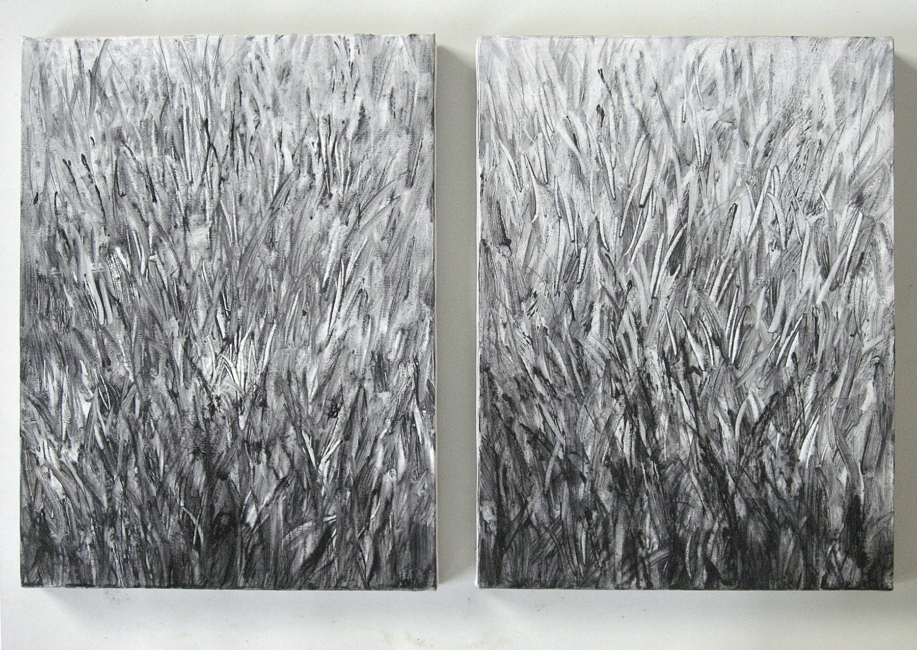 Grass(2)_2010