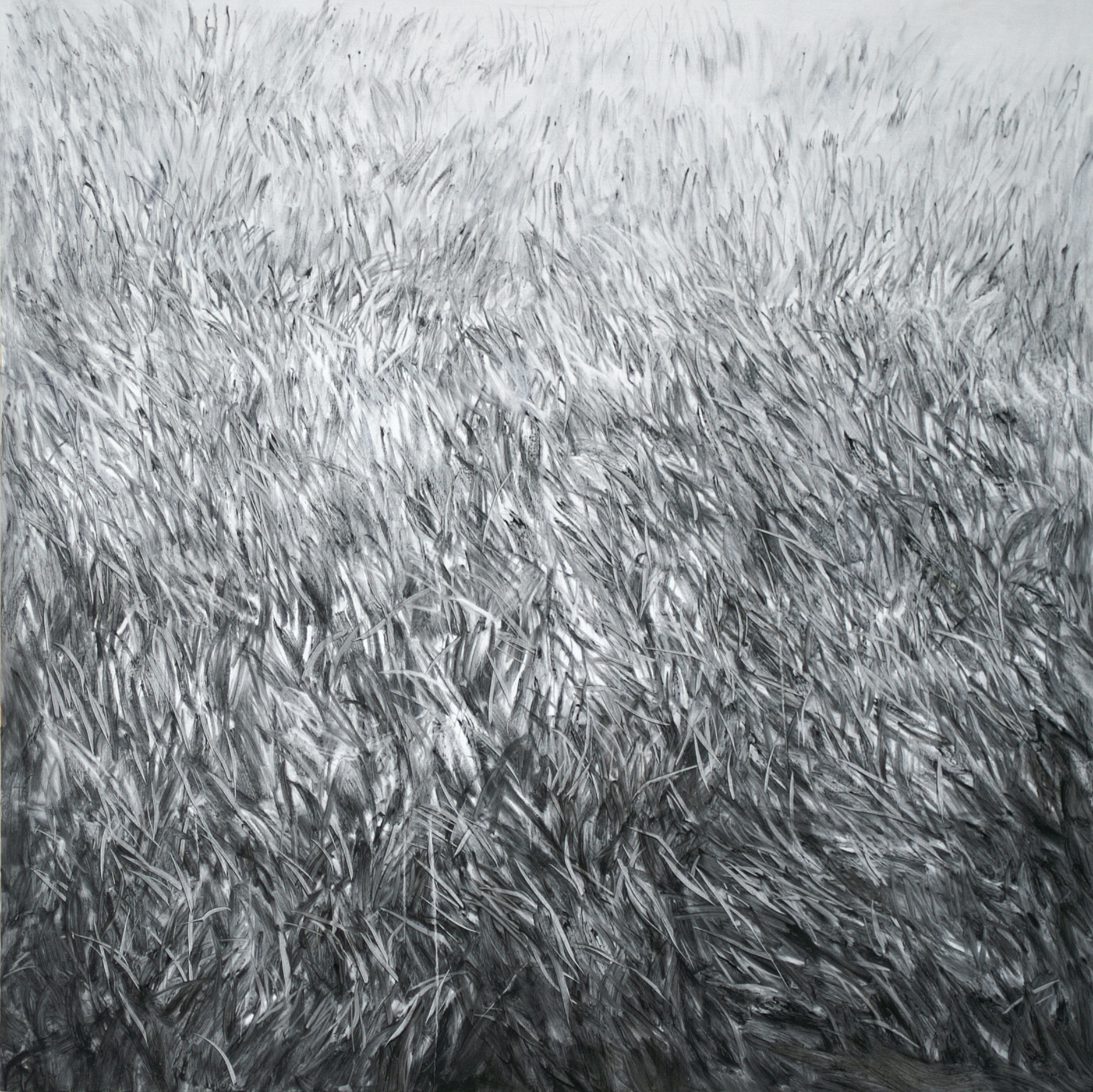 Lawn7