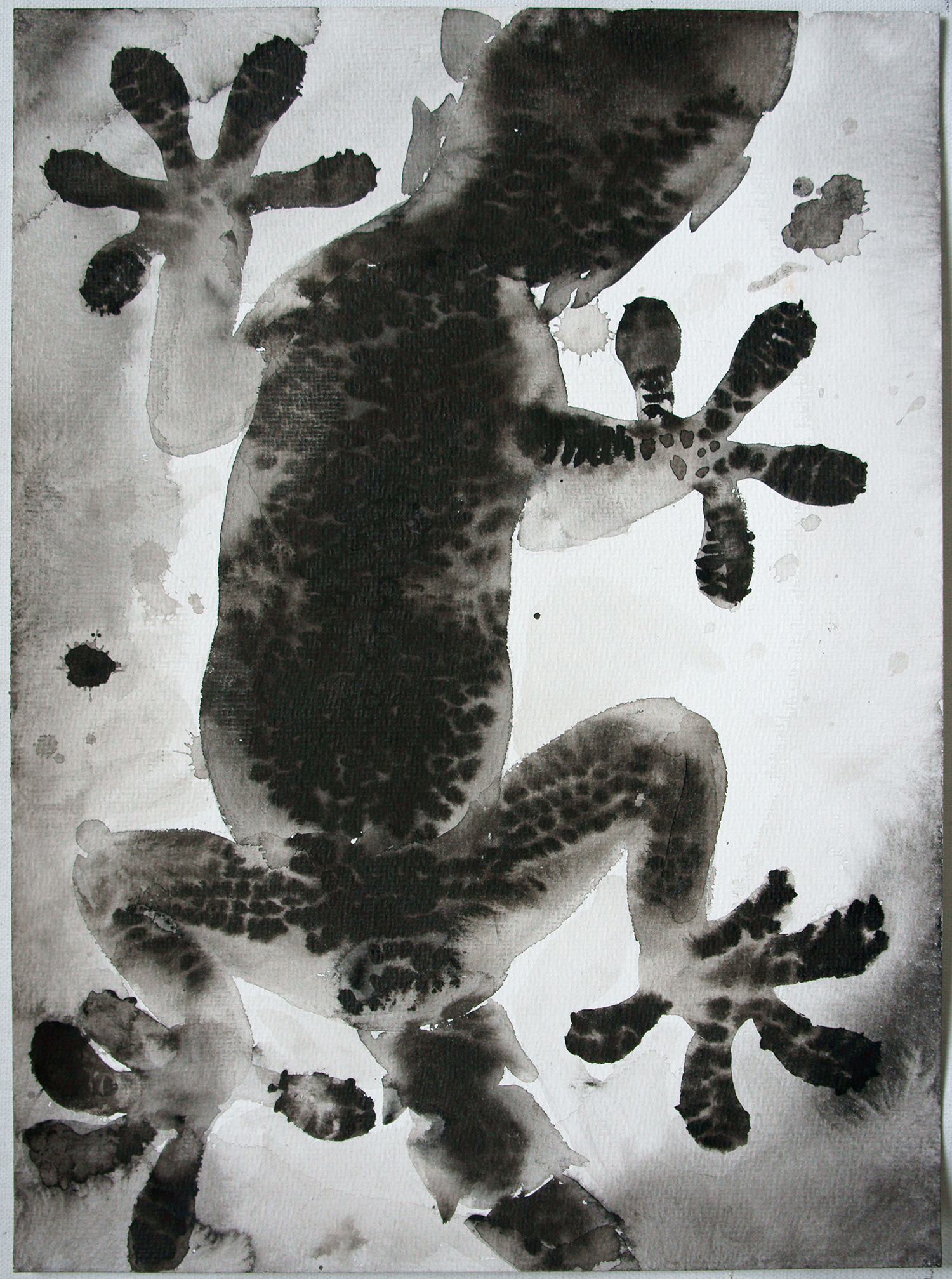 Palomar_The Gecko's Belly