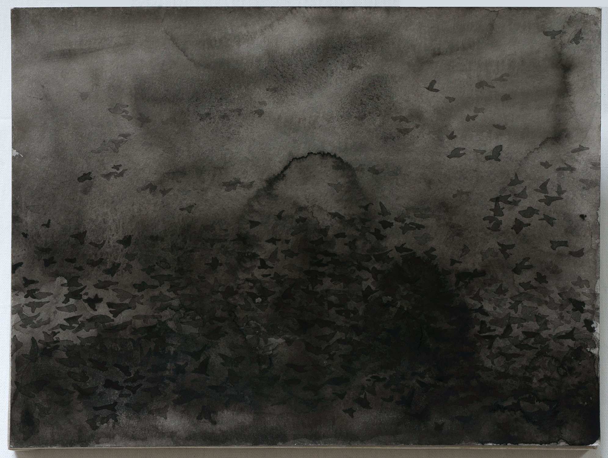 Palomar_The Invasion of the Starlings