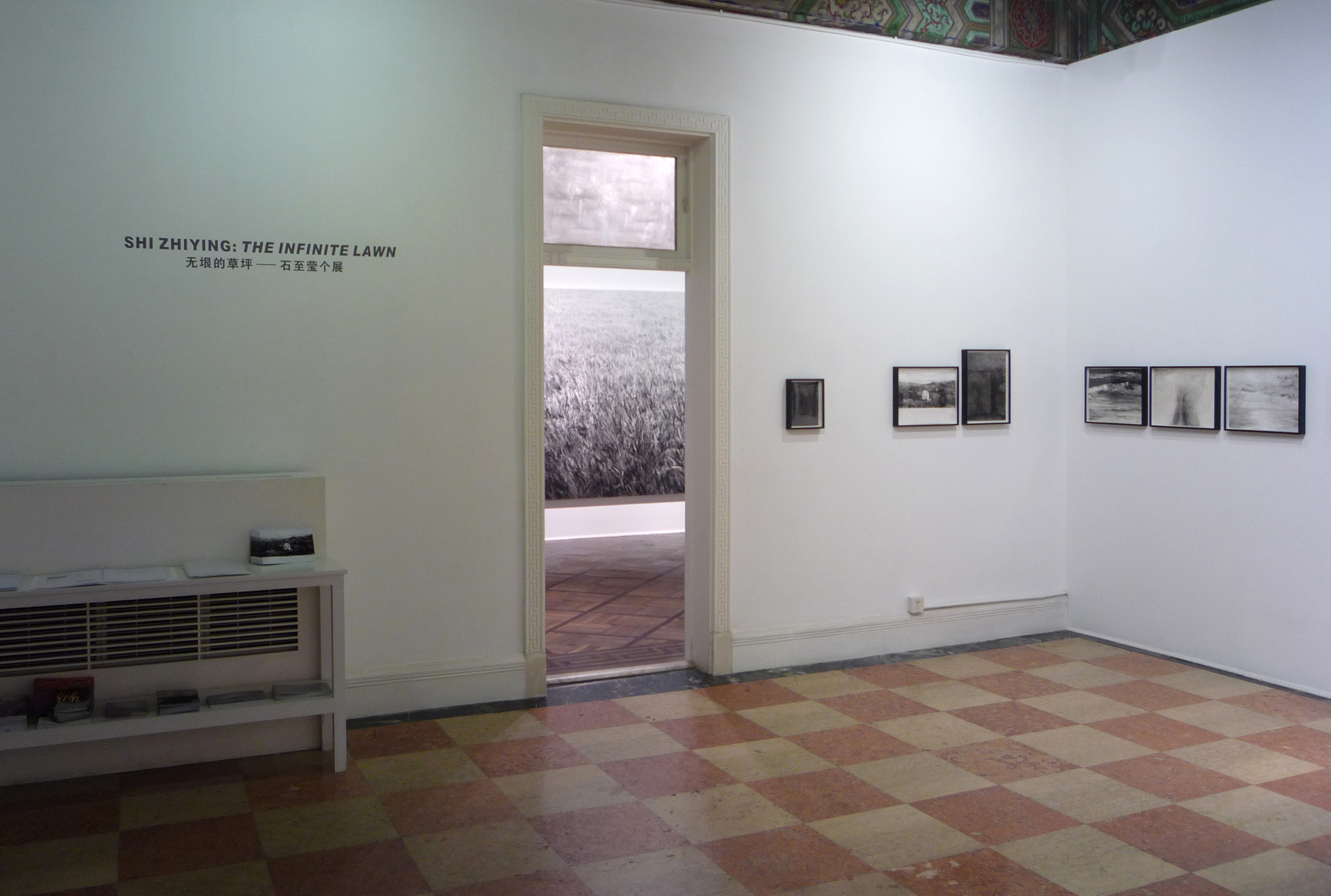 The Infinite Lawn_Exhibition View_2