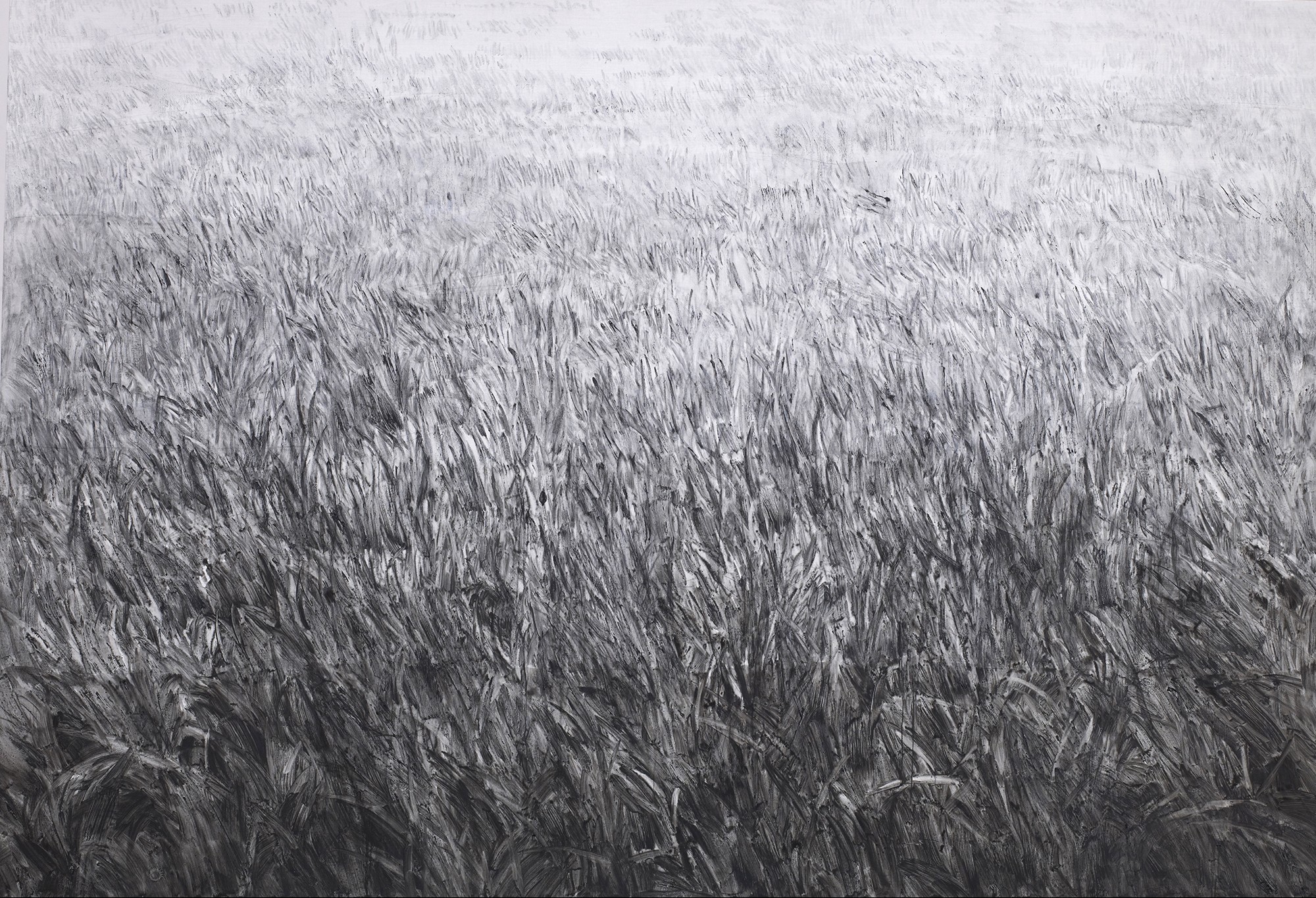 The Infinite Lawn