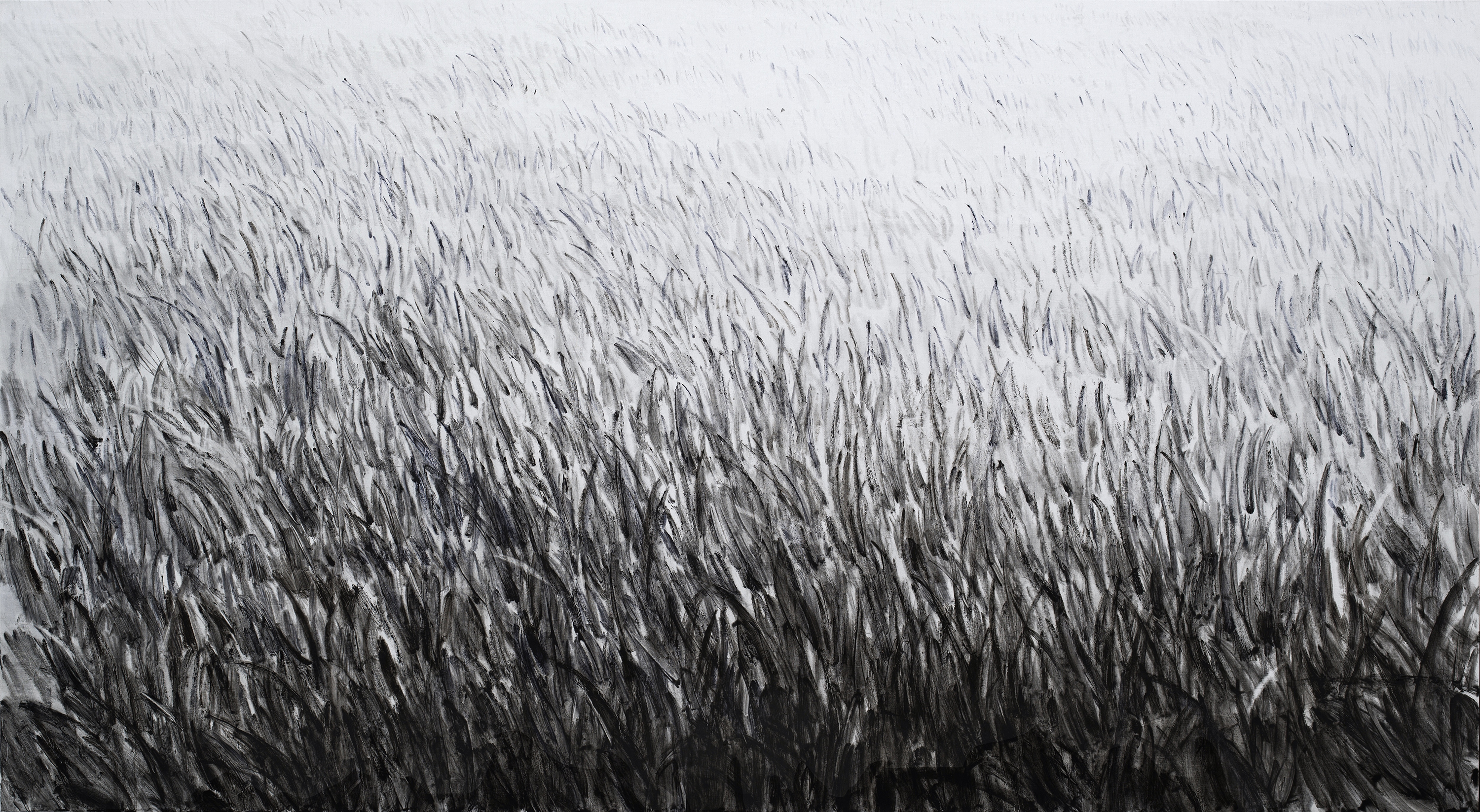 Grass 2018 110x200cm