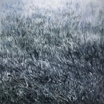 Lawn 6