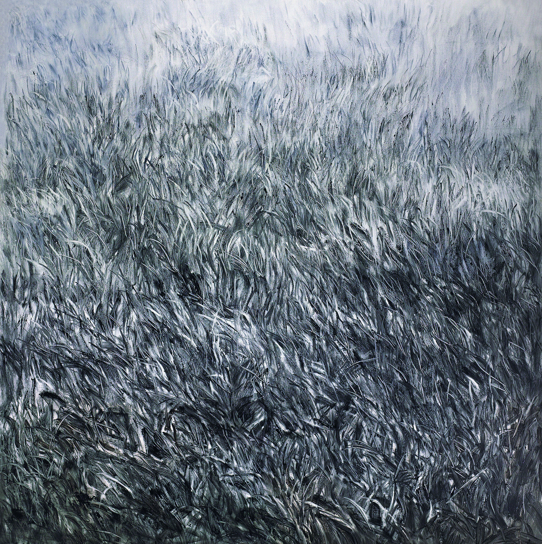 Lawn 6